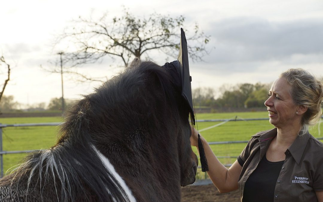 Unterstützen Pferde auf psychischer und körperlicher Ebene?