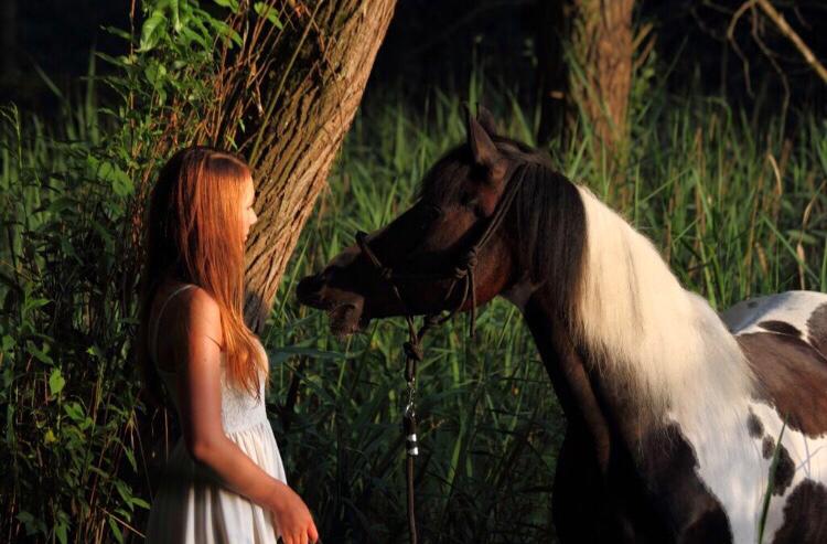 Jedes Pferd kann Therapiepferd sein – wirklich?