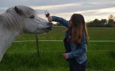 Autismus und Pferdetherapie – warum therapeutisches Reiten wirkt